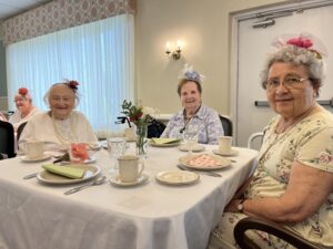 residents attending a homeland tea party
